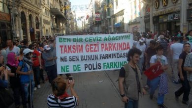 gezi1