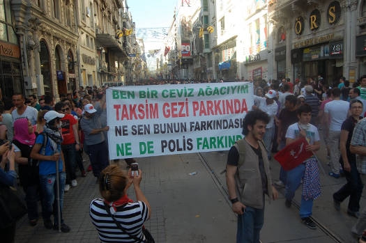 gezi1