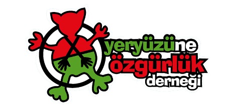 logo-son copy