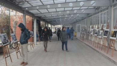 eskisehirde gezi sergisi