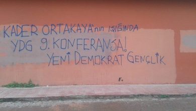 10849803 563355710475855 8258329479373333792 n