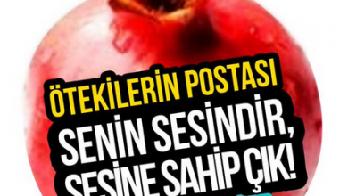 otekilerin postasi