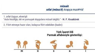 nBjUHequfeTbold-800x450-noPad