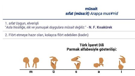 nBjUHequfeTbold-800x450-noPad