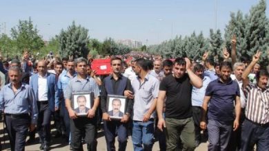 amed katledilen hdpliler toprağa