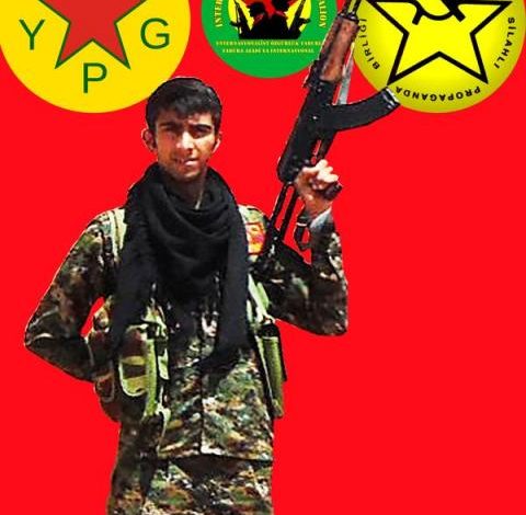 rojava alper