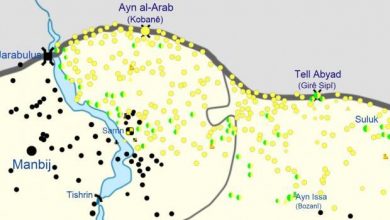 Özgür gelecek Şirin kasabası Kobane