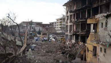 Çınar ve Midyatta karakollara saldırı