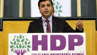 demirtas 29