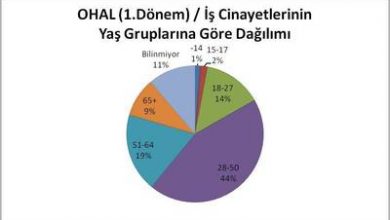 etha 20161026 ohal is cinayeti 04 ext