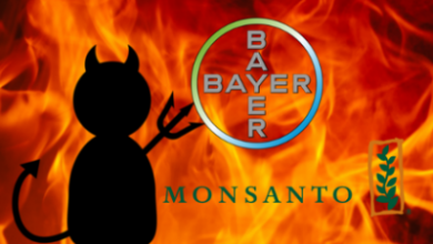 monsanto bayer3