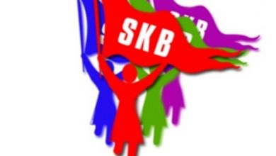 skb logo