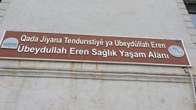 270717 mardin kayyim yasam merkezi kaldirildi manset