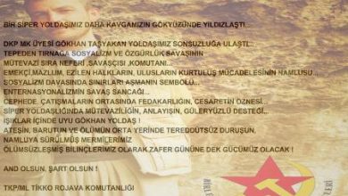 tikko rojava ulaş adalı açıklama