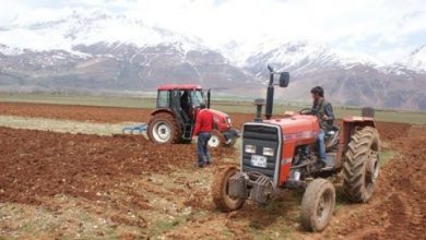 ovacıkta tarım arazileri satışa çıkarılıyor