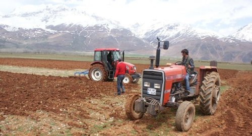 ovacıkta tarım arazileri satışa çıkarılıyor