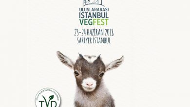 Uluslararası İstanbul VegFest 23 24 Haziranda düzenlenecek